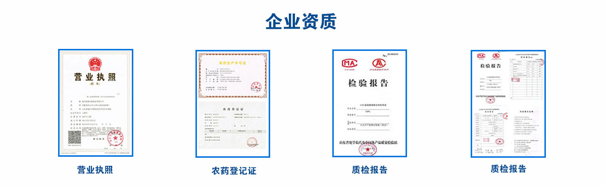 企业资质.jpg